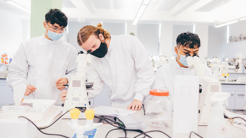 Three students looking into microscopes in the Sinclair lab