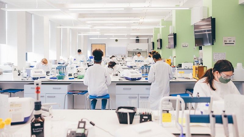 Students sat in the Sinclair lab