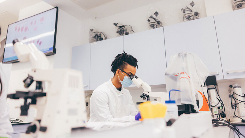 A student looking into a microscope in the Sinclair lab