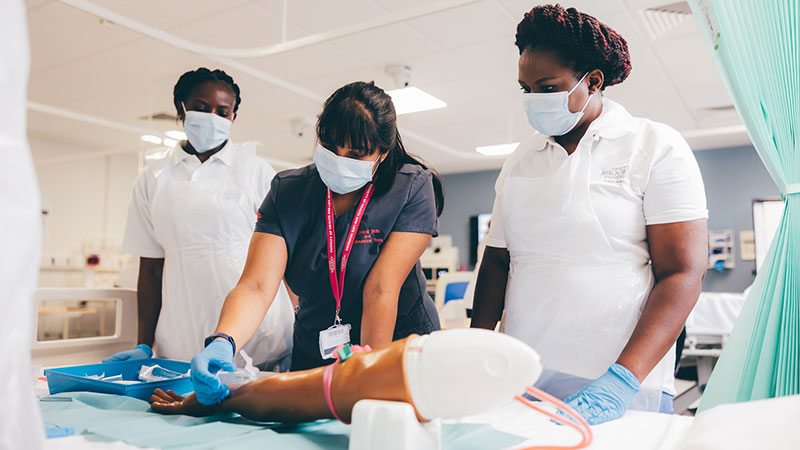 Undergraduate and Postgraduate courses