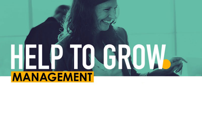 Help to grow logo