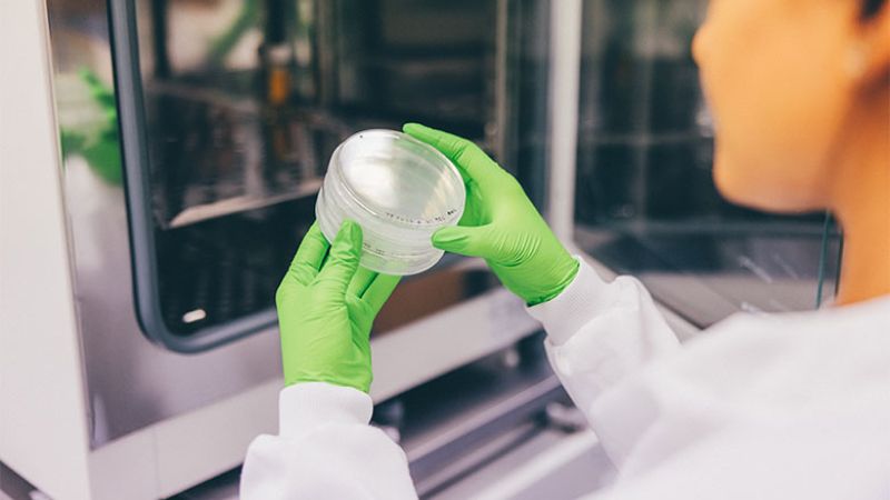 a lab technician
