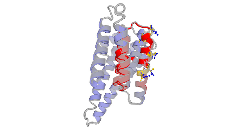 Protein Folding Bioinformatics Lab