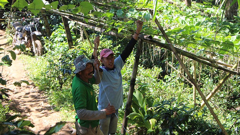 Installing a wildlife waterline bridge