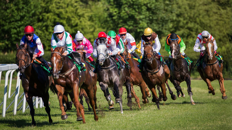 Horseracing