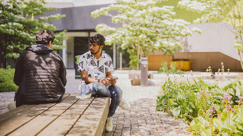 Two male students chatting in courtyard