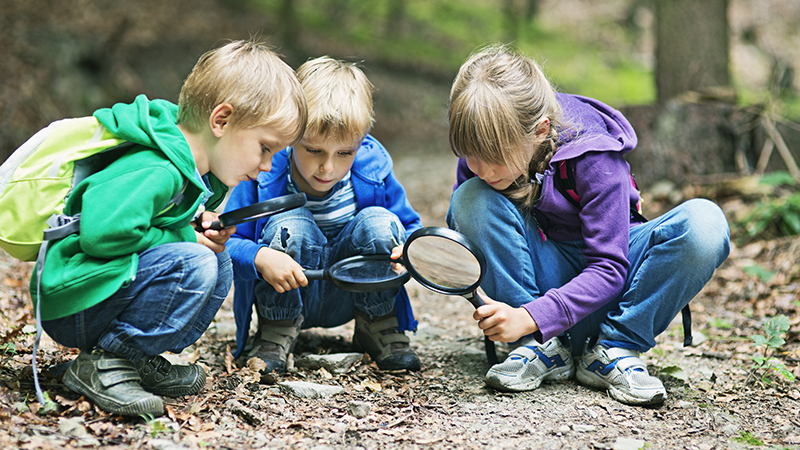 Education and Early Years