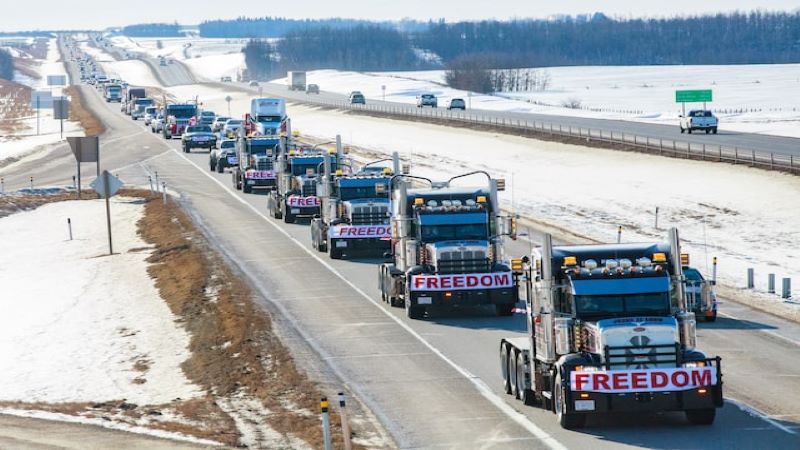 A queue of vehicles with 'Freedom' signs on the front
