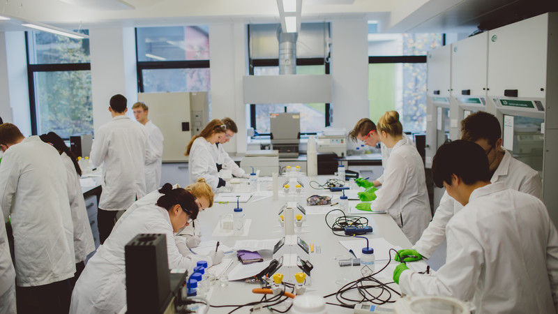 Researchers in a lab