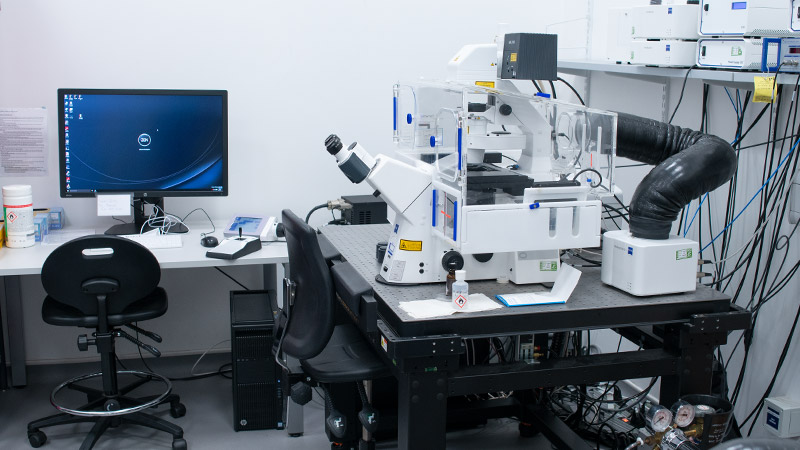 View equipment
