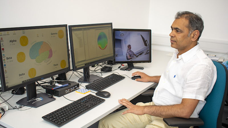 Cognition and Cognitive Neuroscience (C&CN)