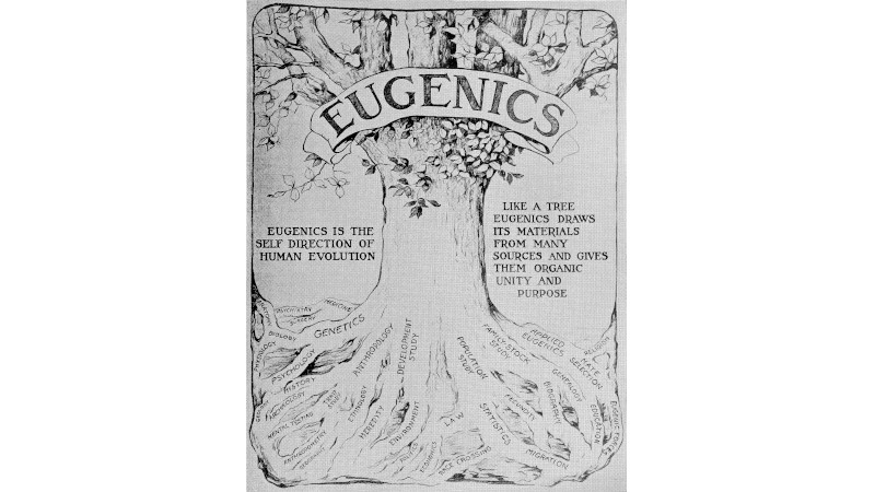 History of Race and Eugenics (HRE)