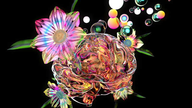 digital art drawing of an abstract flower