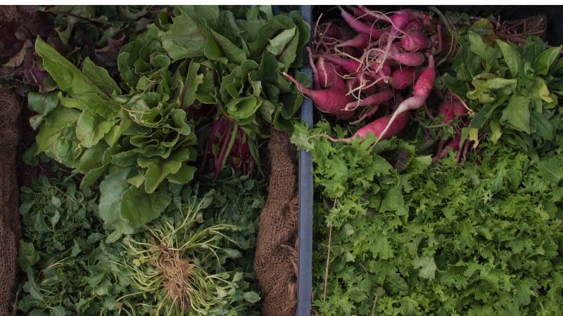 photo of vegetable