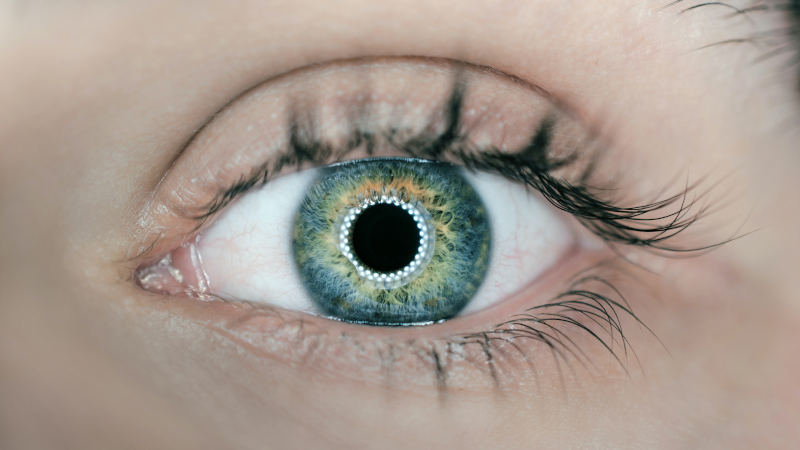 Visual Artificial Intelligence Laboratory (VAIL)